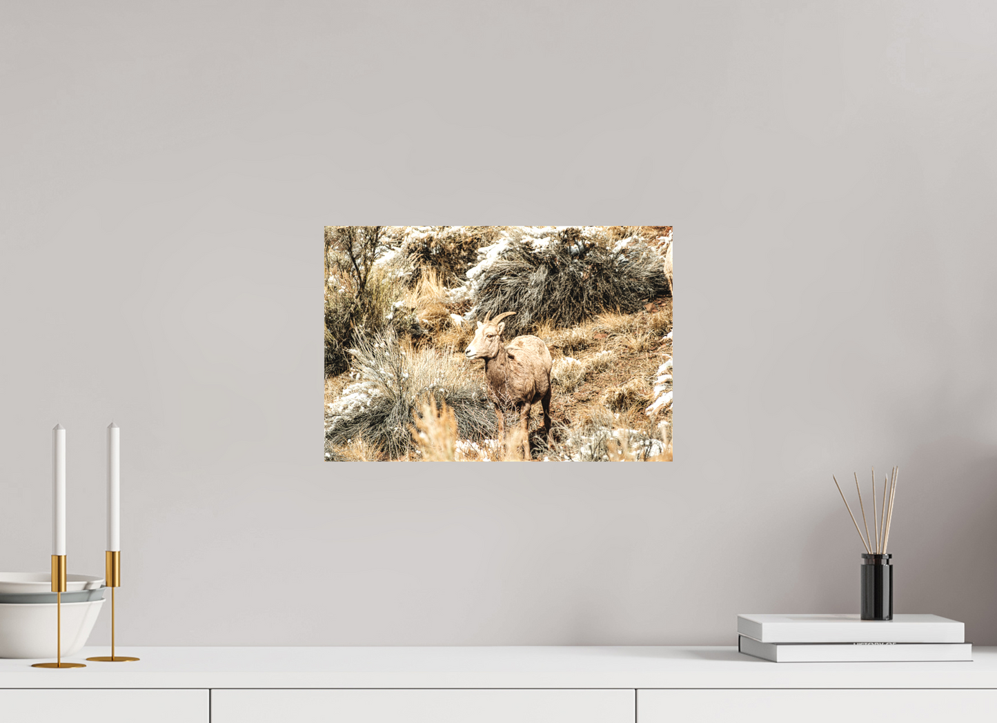 15 x 10″, Matte Canvas on Stretcher Frame Bighorn Sheep