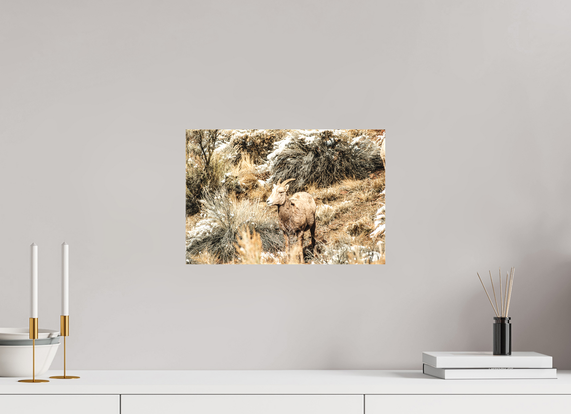 15 x 10″, Matte Canvas on Stretcher Frame Bighorn Sheep