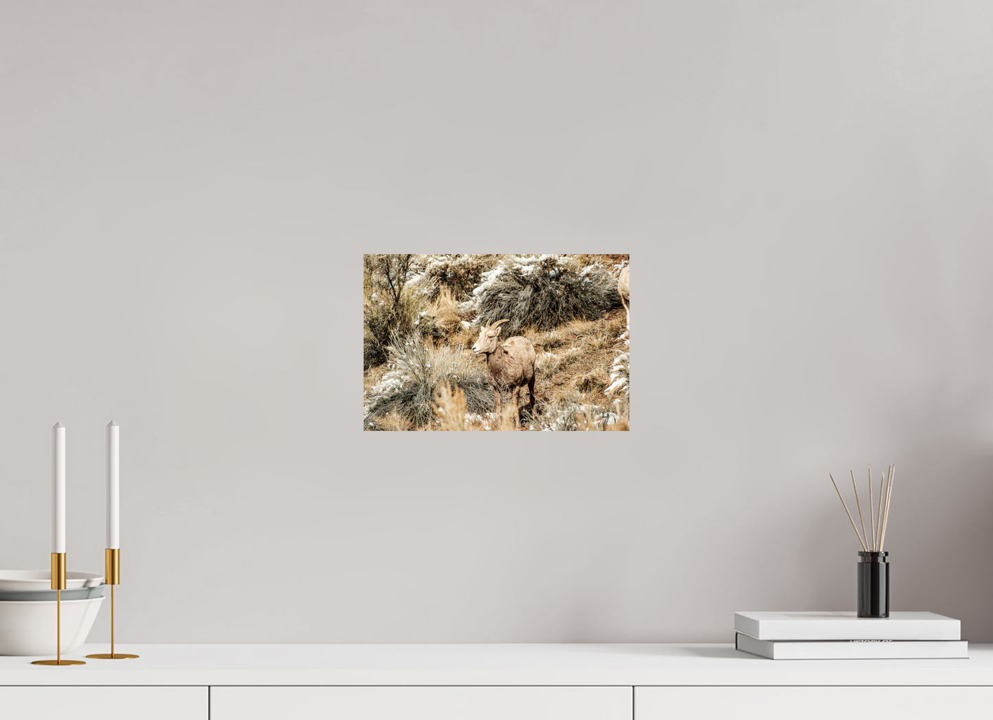 12 x 8″, Photo Print On Fuji Crystal DP II Bighorn Sheep