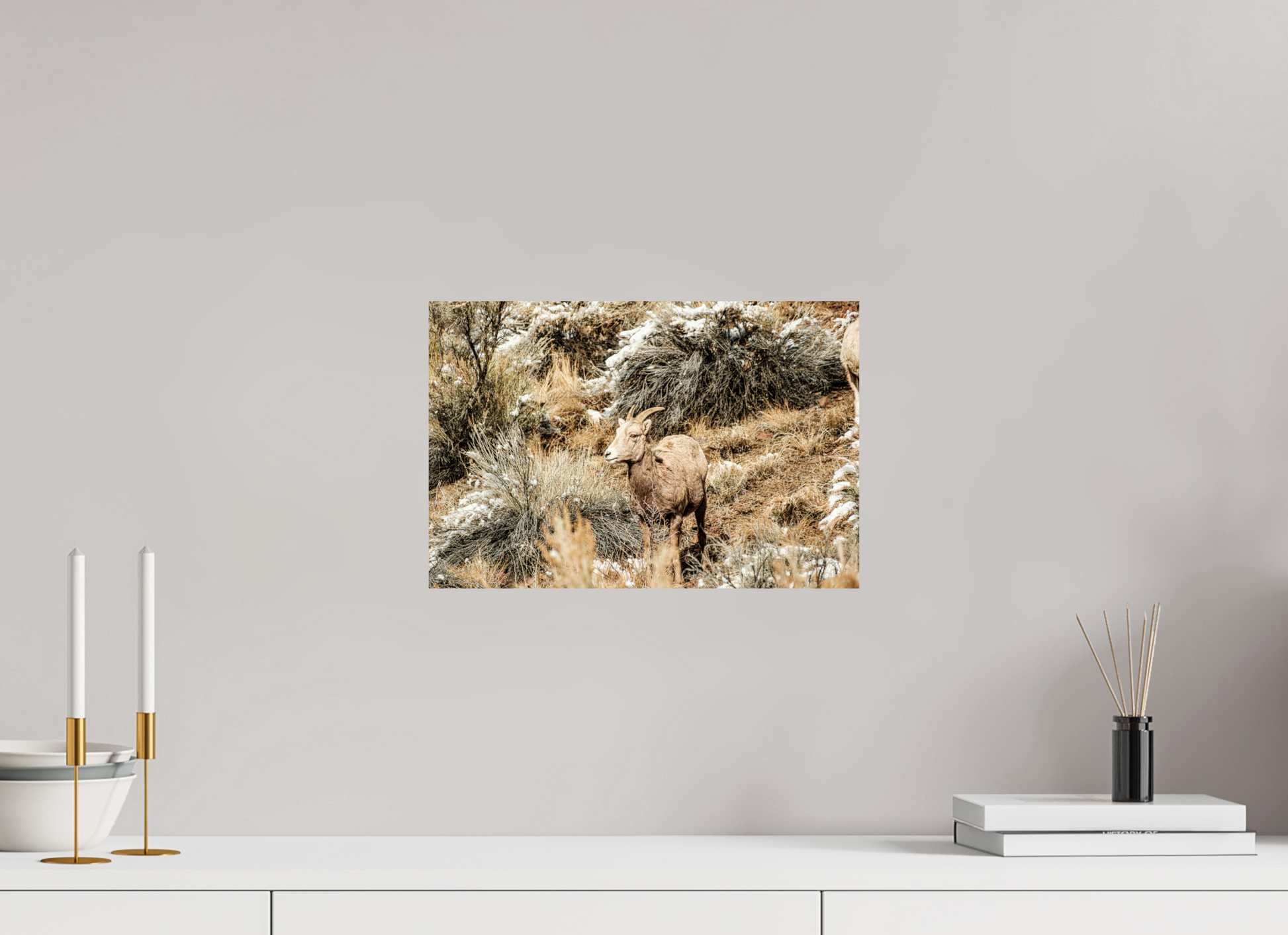 15 x 10″, Photo Print On Fuji Crystal DP II Bighorn Sheep