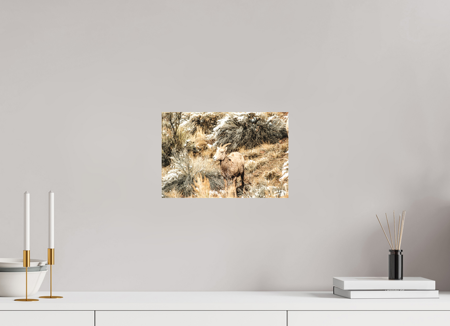 12 x 8″, Matte Canvas on Stretcher Frame Bighorn Sheep