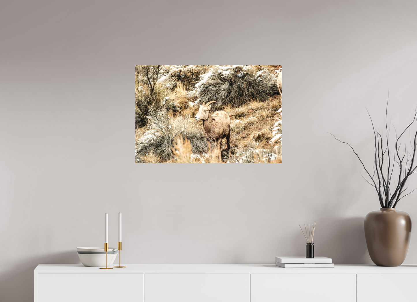 30 x 20″, Matte Canvas on Stretcher Frame Bighorn Sheep