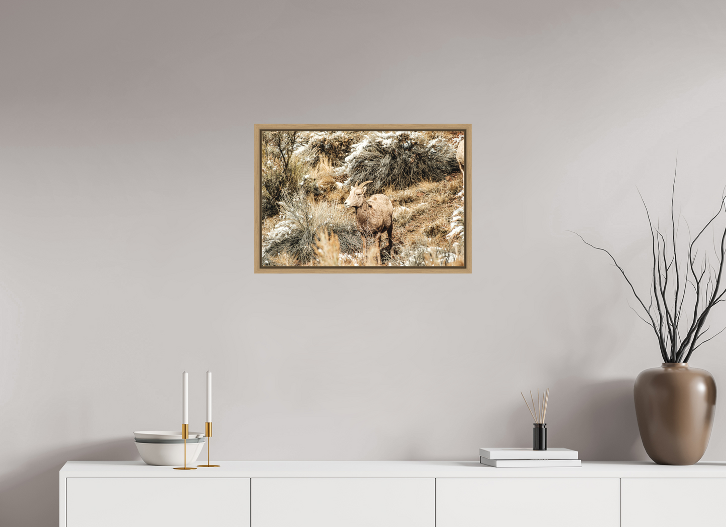 24 x 16″, Floater Frame Oak Bighorn Sheep