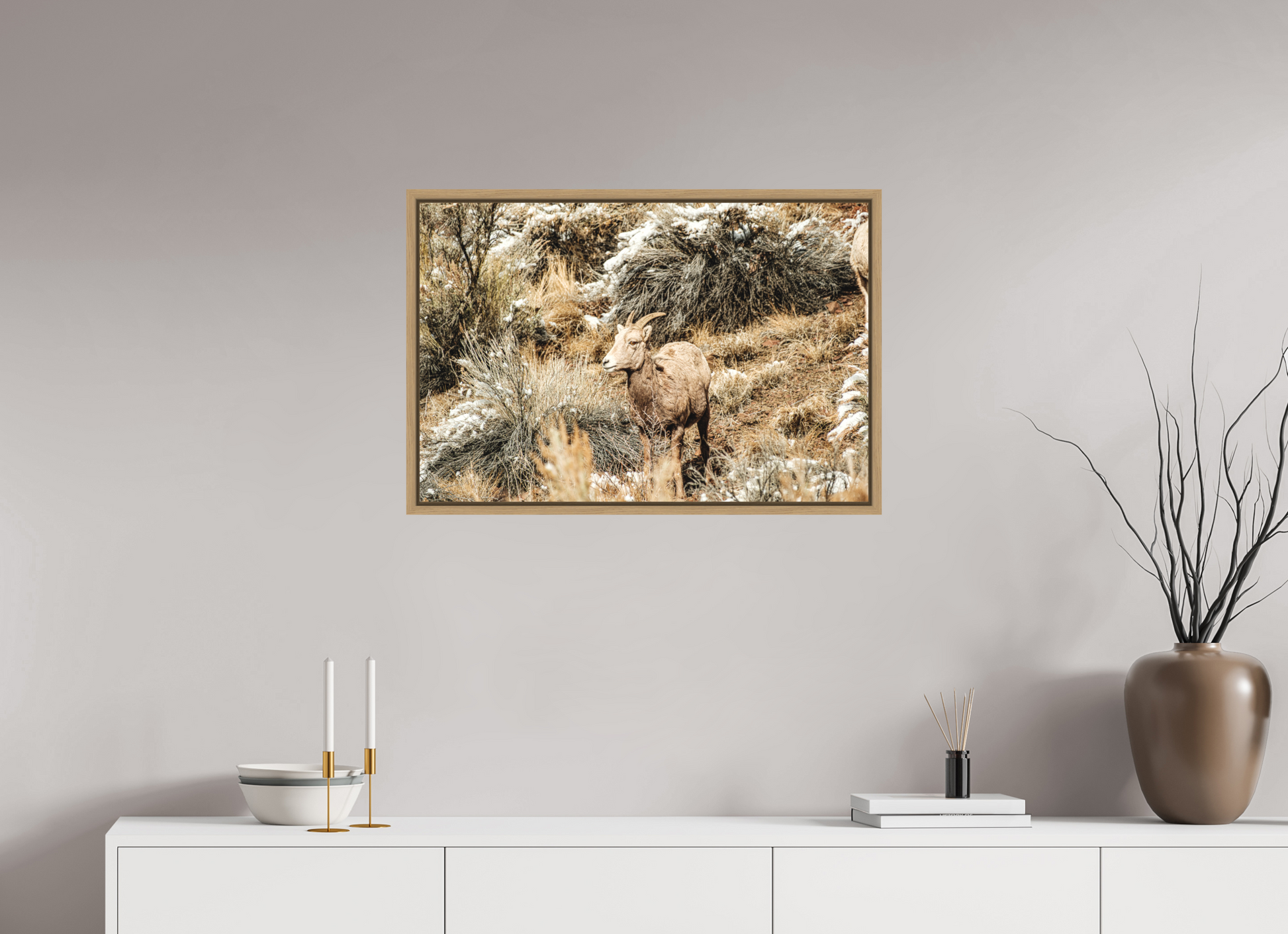 30 x 20″, Floater Frame Oak Bighorn Sheep