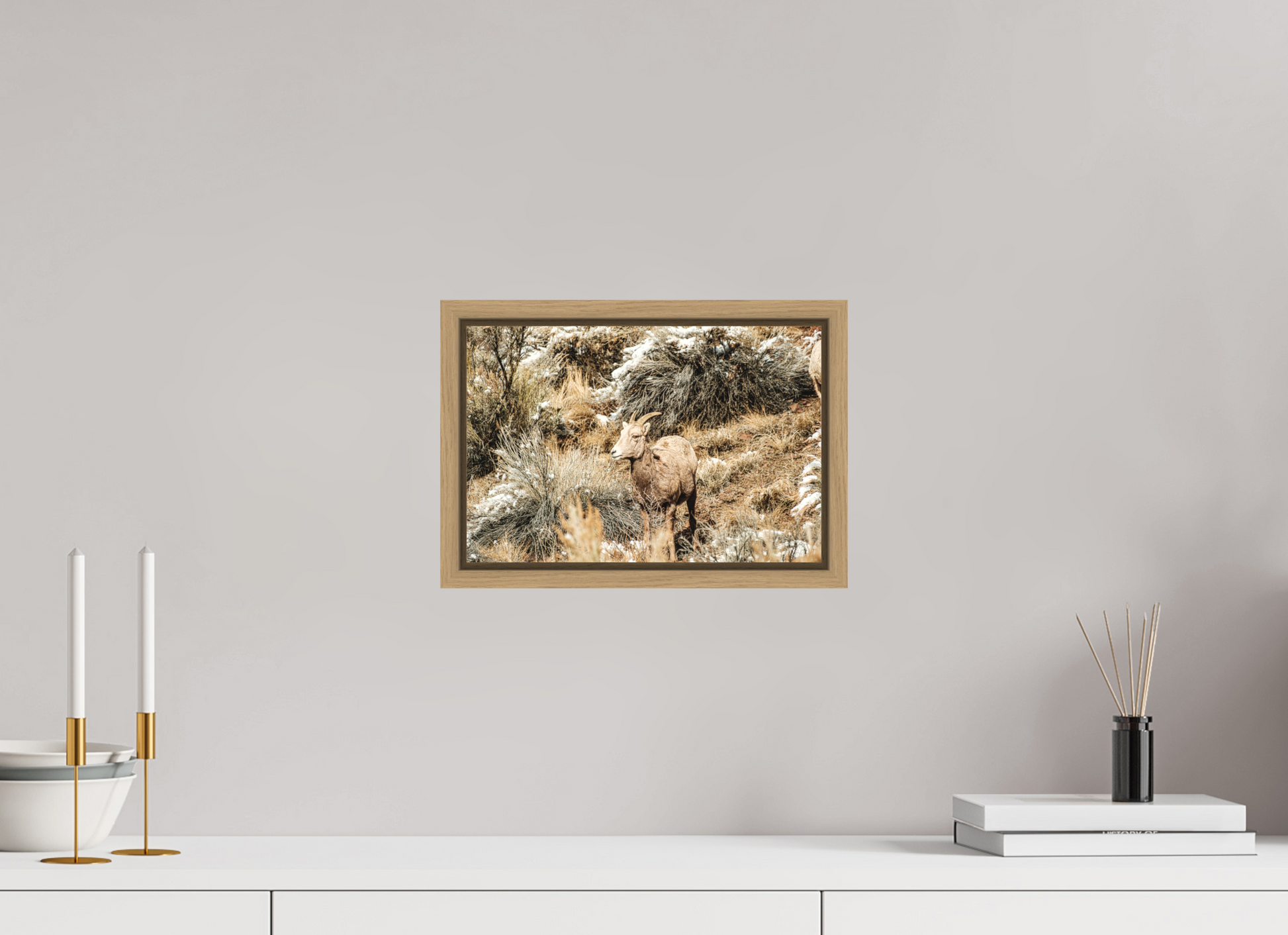 12 x 8″, Floater Frame Oak Bighorn Sheep