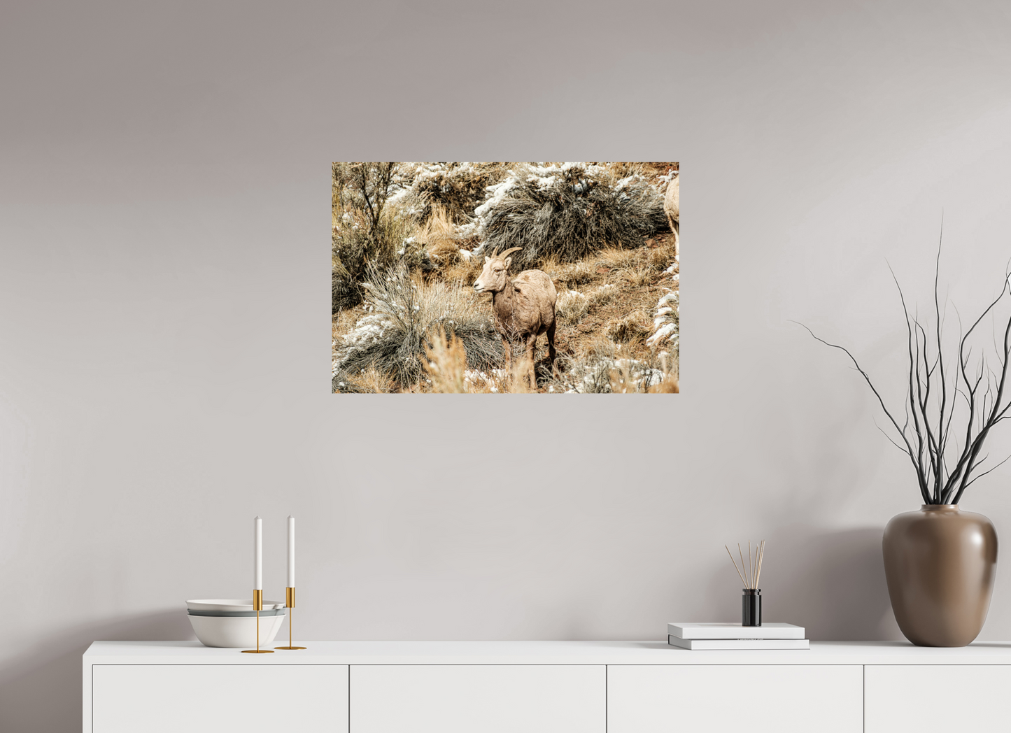 30 x 20″, Photo Print On Fuji Crystal DP II Bighorn Sheep