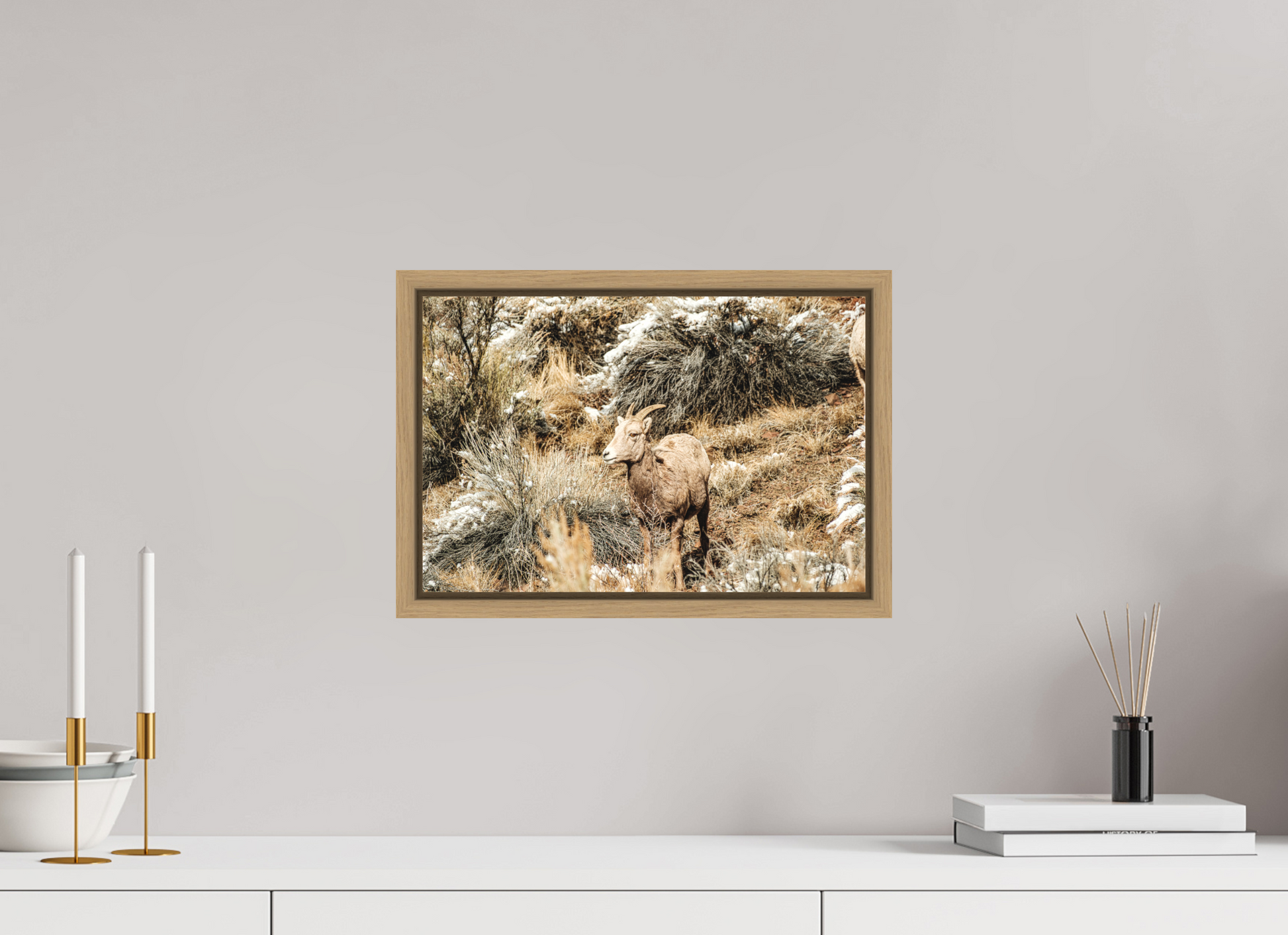 15 x 10″, Floater Frame Oak Bighorn Sheep