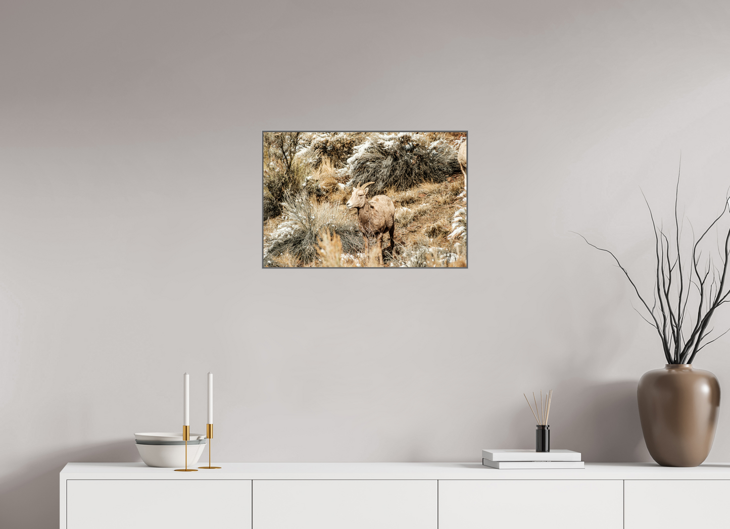24 x 16″, Photo print aluminum frame Bighorn Sheep